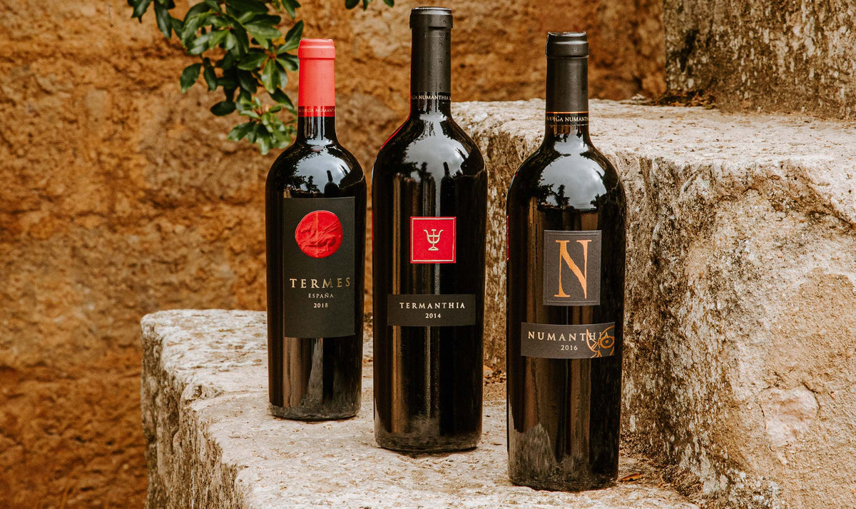 Bodega Numanthia